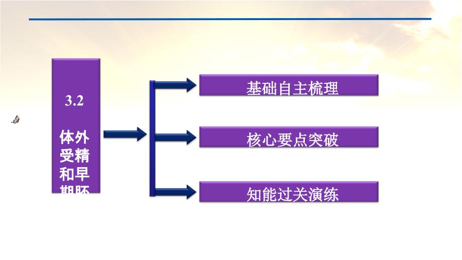 课件32体外受精和早期胚胎培养人教版选修3_第4页