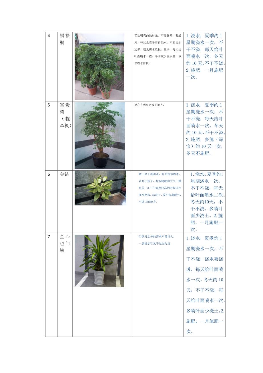 公司植物养护说明_第2页