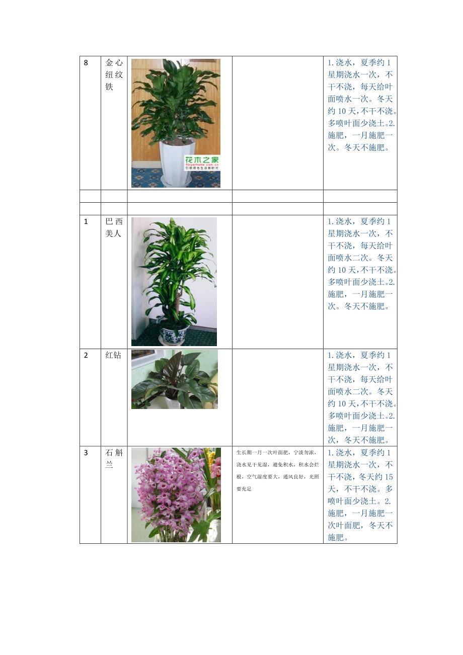 公司植物养护说明_第3页