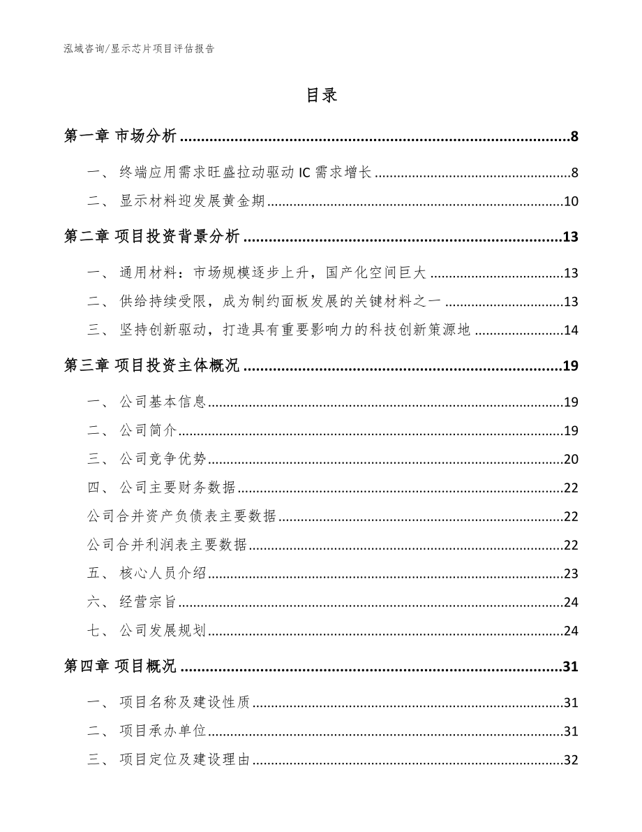 显示芯片项目评估报告_模板范文_第2页