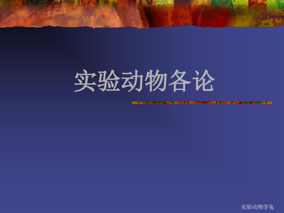 实验动物学兔课件_第1页