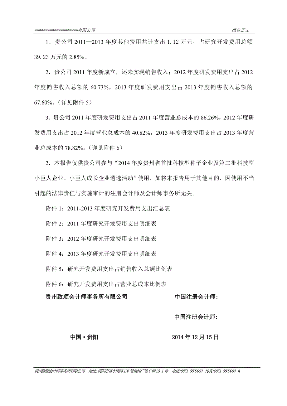 研发费用专项审计.doc_第4页