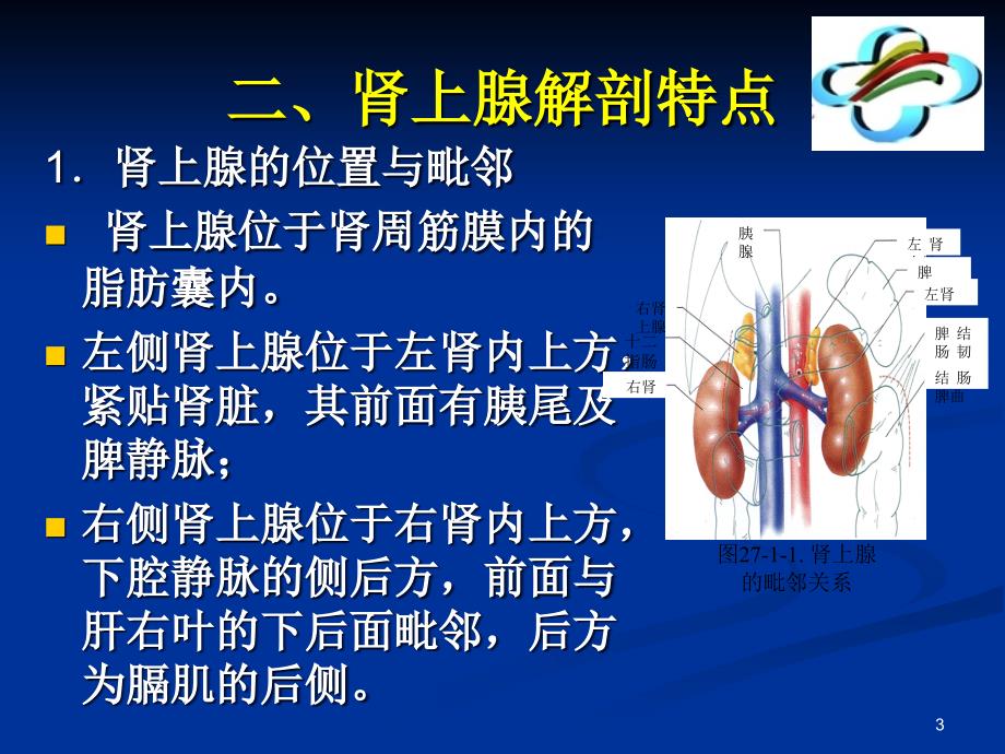 腹腔镜肾上腺切除术PPT参考课件_第3页