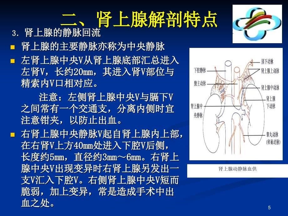 腹腔镜肾上腺切除术PPT参考课件_第5页