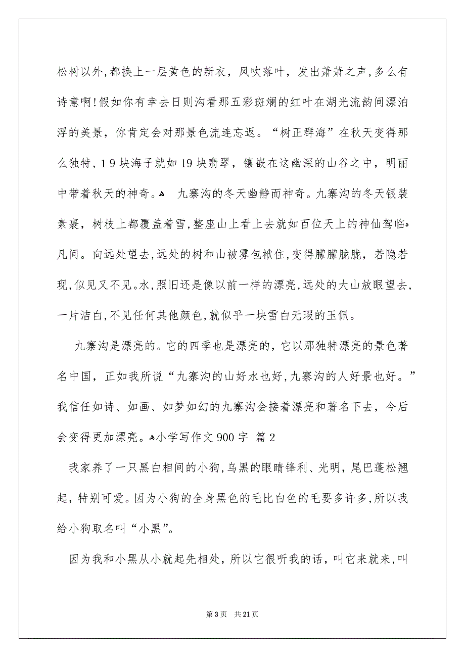 小学写作文900字九篇_第3页