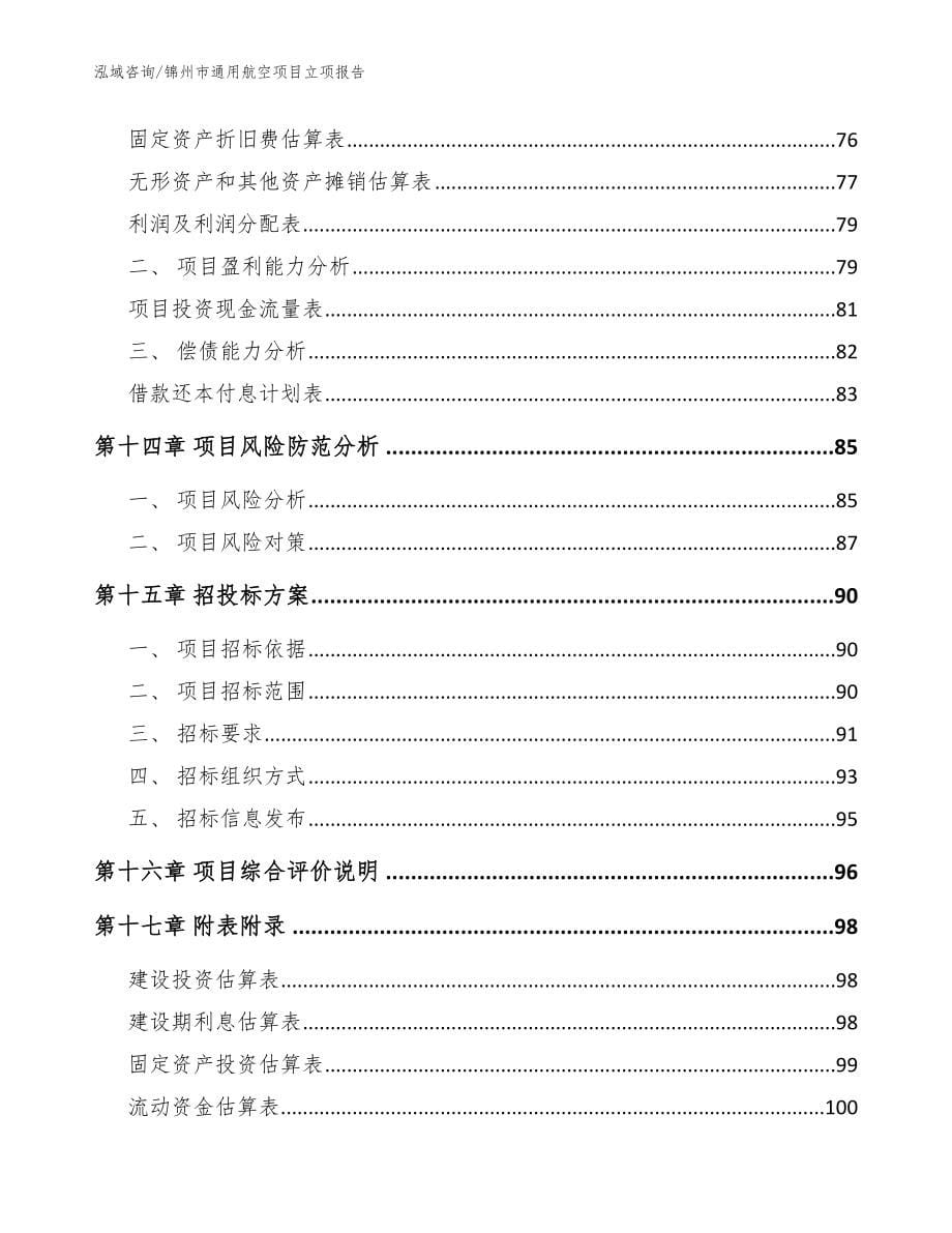 锦州市通用航空项目立项报告（参考范文）_第5页