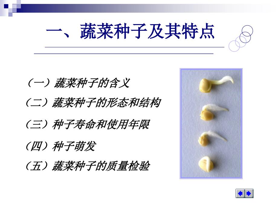 蔬菜播种技术课件_第3页