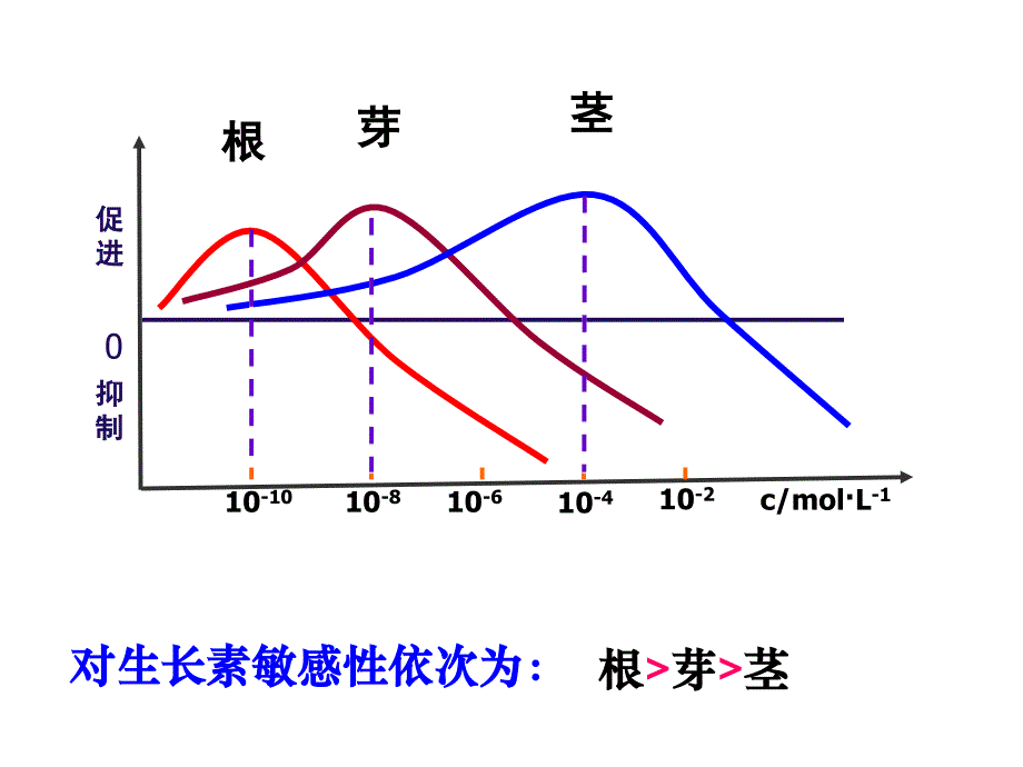 3.2生长素的生理作用[精选文档]_第3页