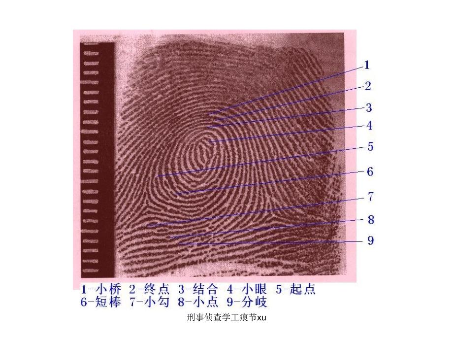 刑事侦查学工痕节xu课件_第1页