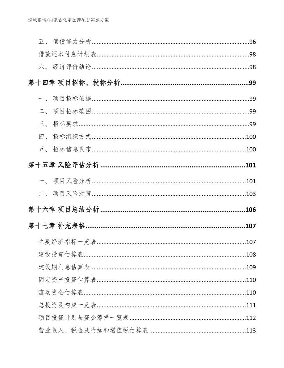 内蒙古化学医药项目实施方案模板范本_第5页