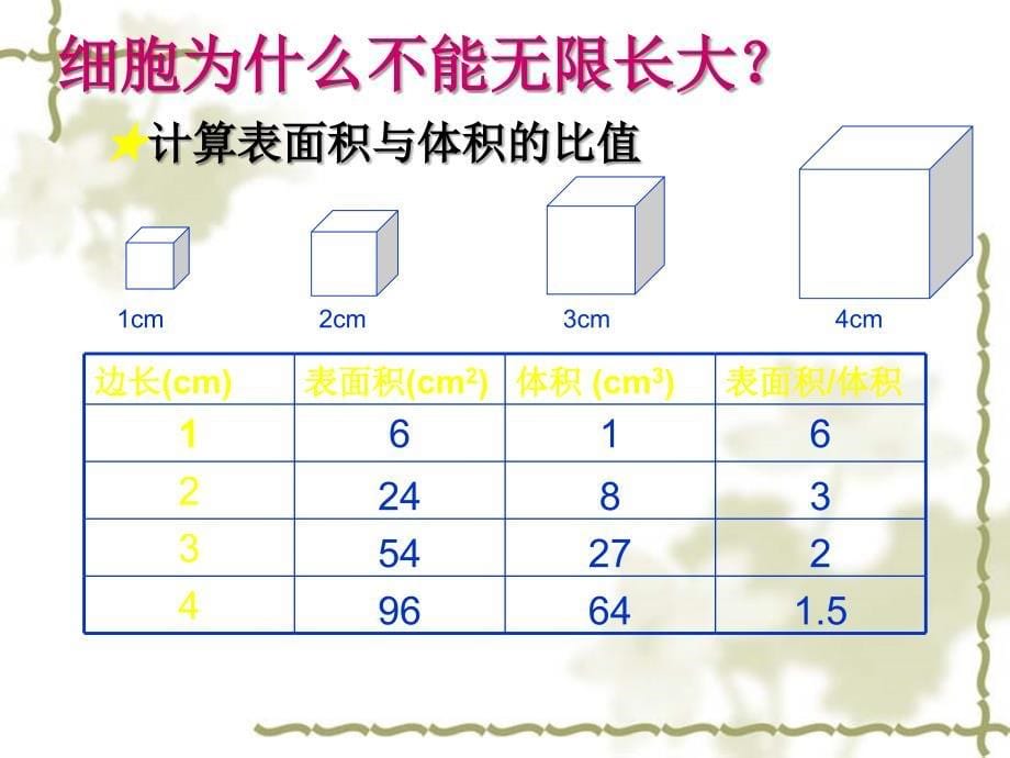 第一节细胞通过分裂产生新细胞_第5页