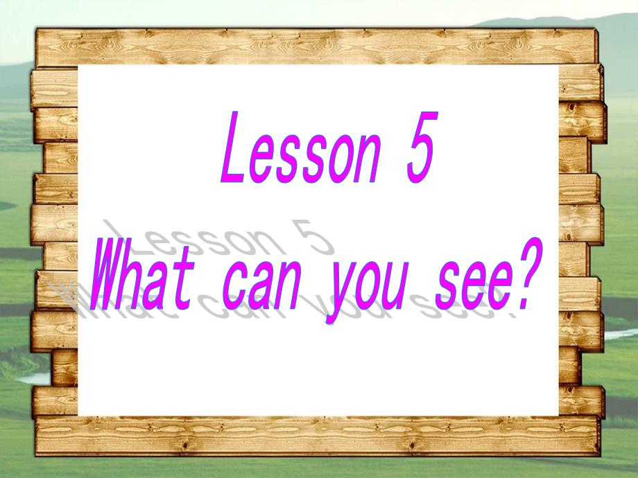 Lesson5Whatcanyousee课件_第1页