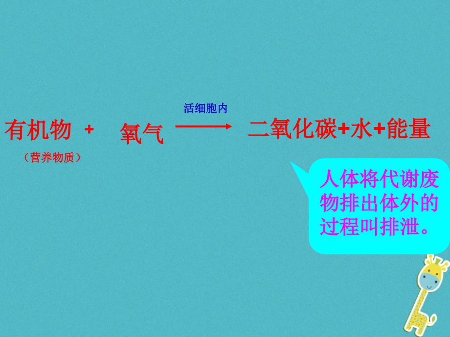 七年级生物下册 3.4.1尿液的形成和排出 （新版）济南版_第2页