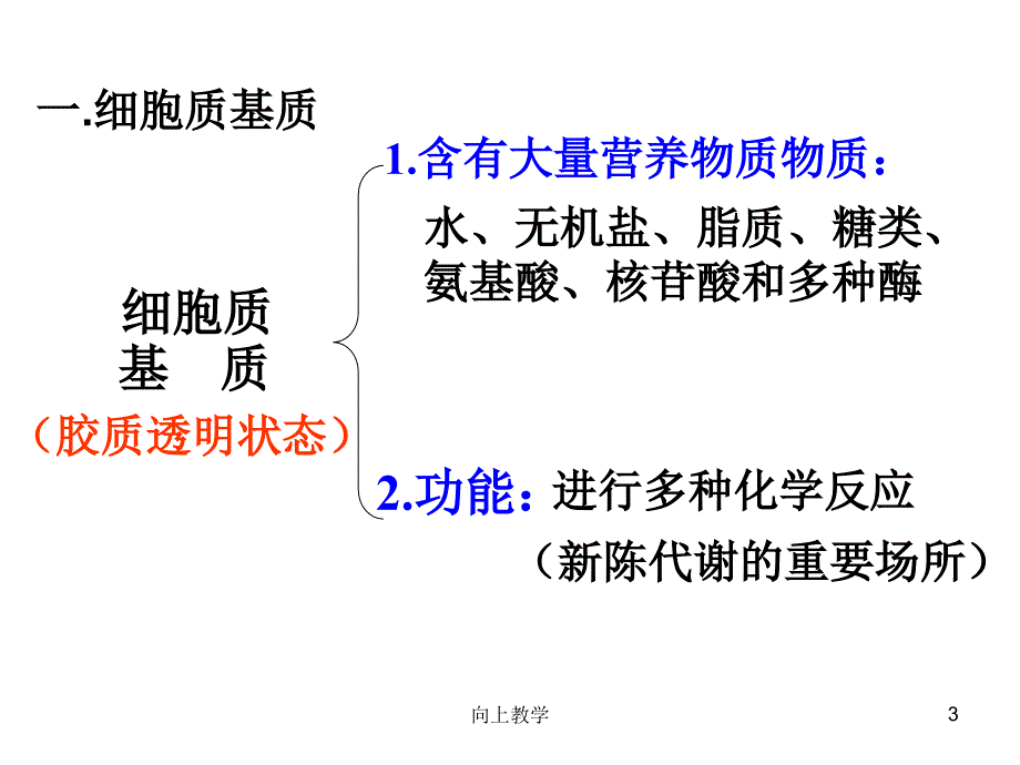 细胞质【竹菊书苑】_第3页