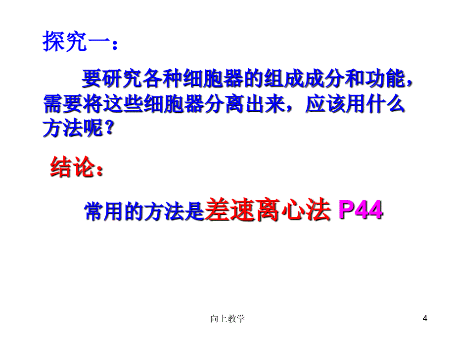 细胞质【竹菊书苑】_第4页