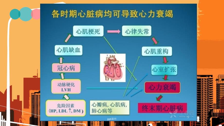 心力衰竭护理ppt课件_第2页