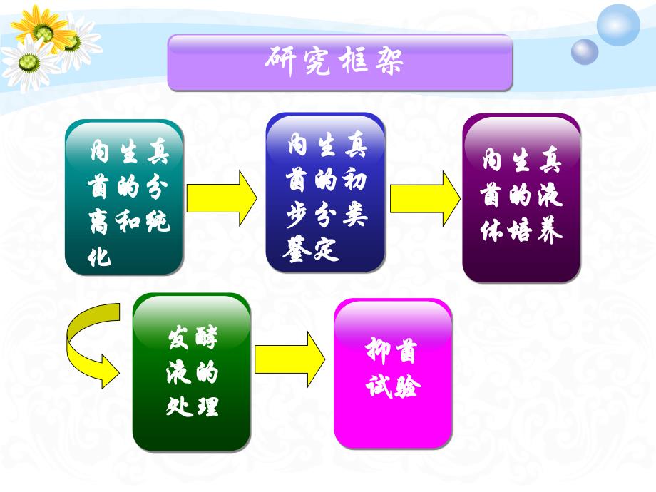 秦巴山区虎杖内生真菌的抗菌活性研究课件_第3页