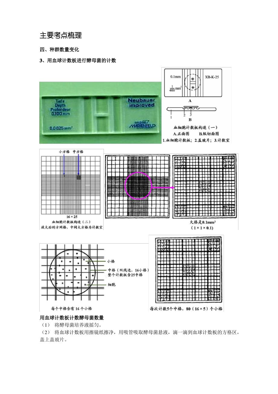 专题 种群(二)-讲义_第1页