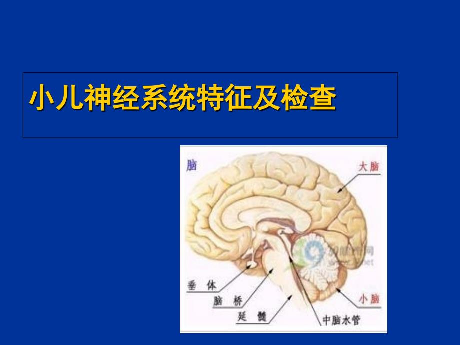 儿科神经系统护理PPT课件_第4页