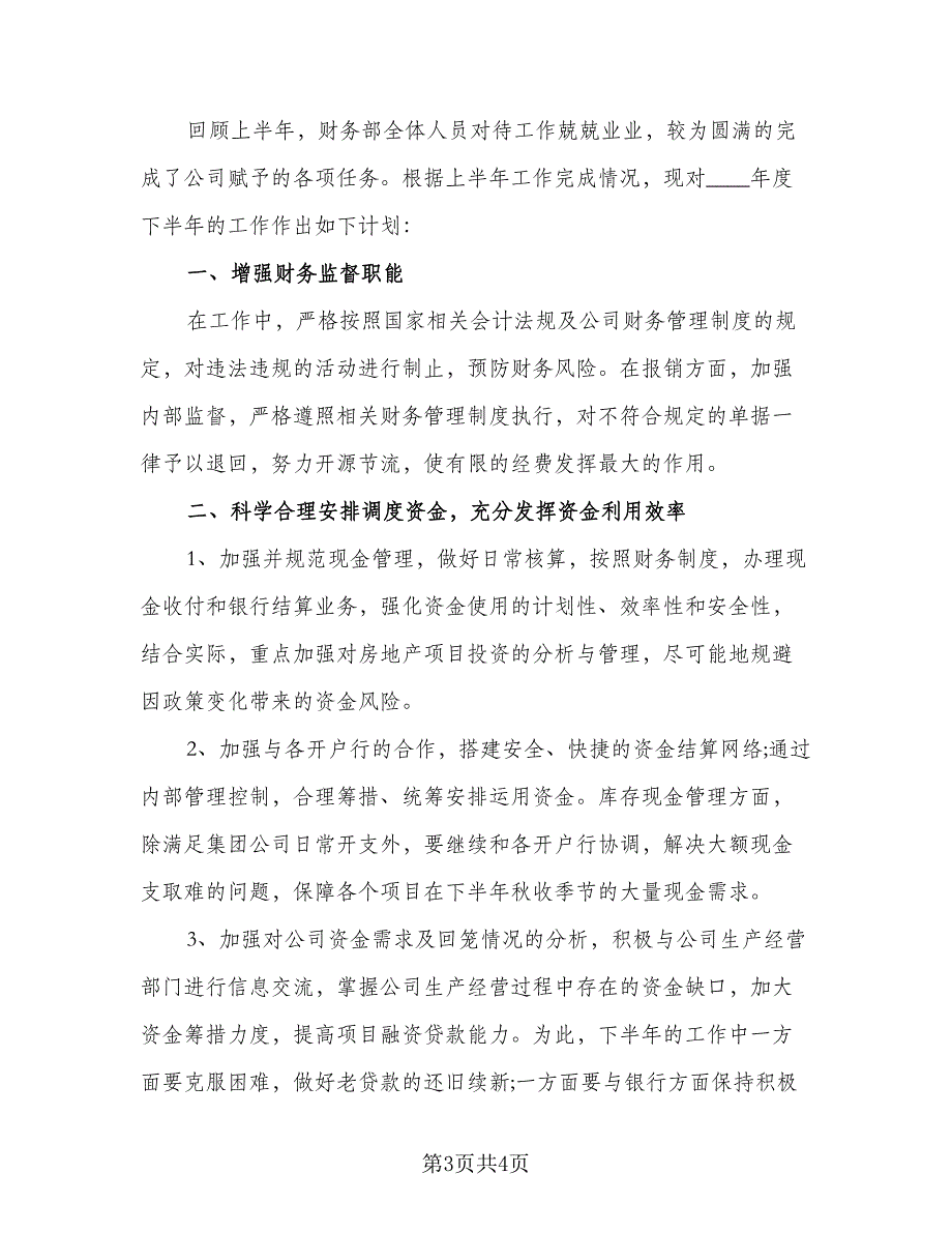 2023财务的下半年工作计划标准样本（二篇）_第3页