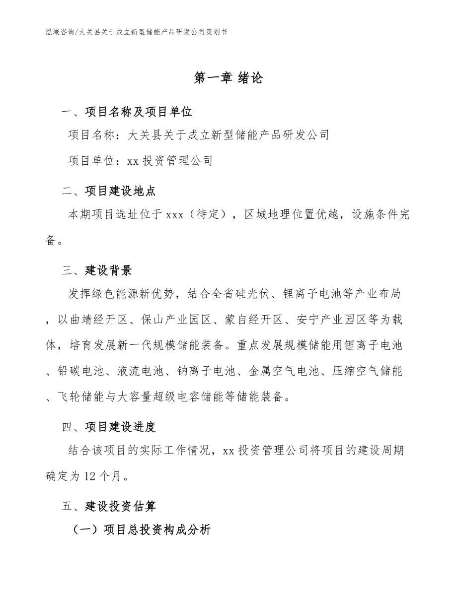 大关县关于成立新型储能产品研发公司策划书参考模板_第5页