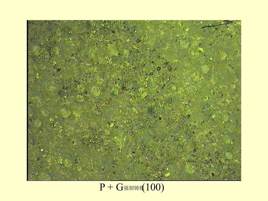强韧铸铁课件_第5页