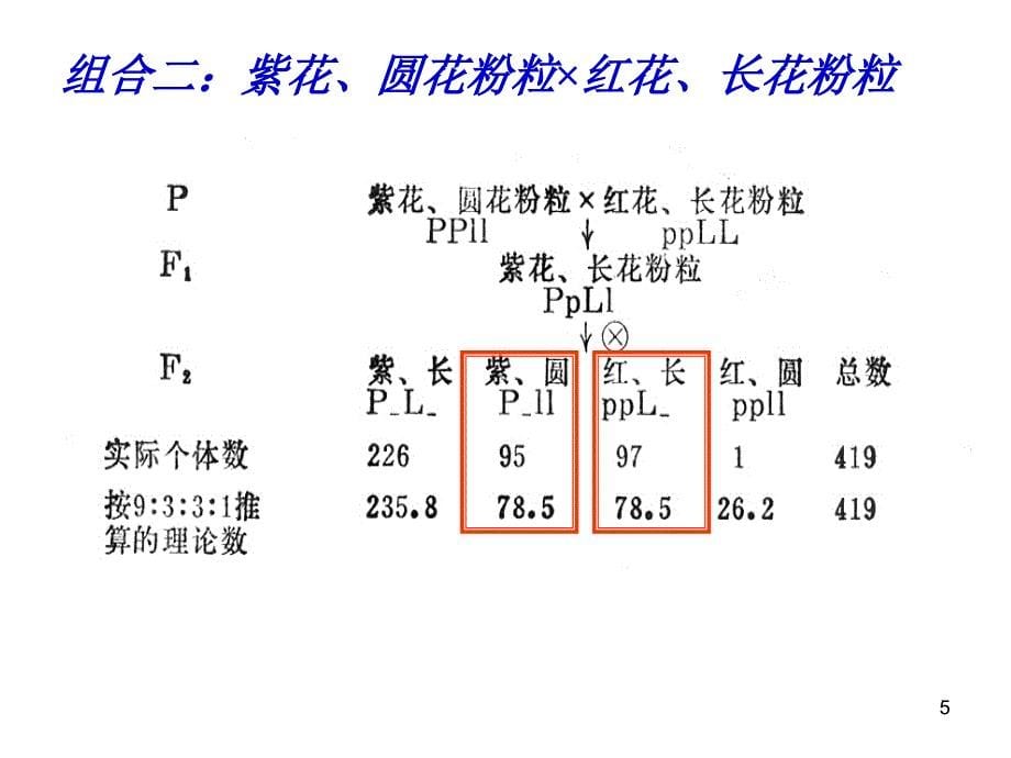 普通遗传学：第四章 连锁遗传和性连锁_第5页