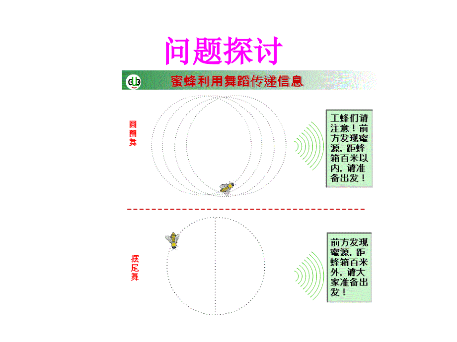 生态系统的信息传递_第4页