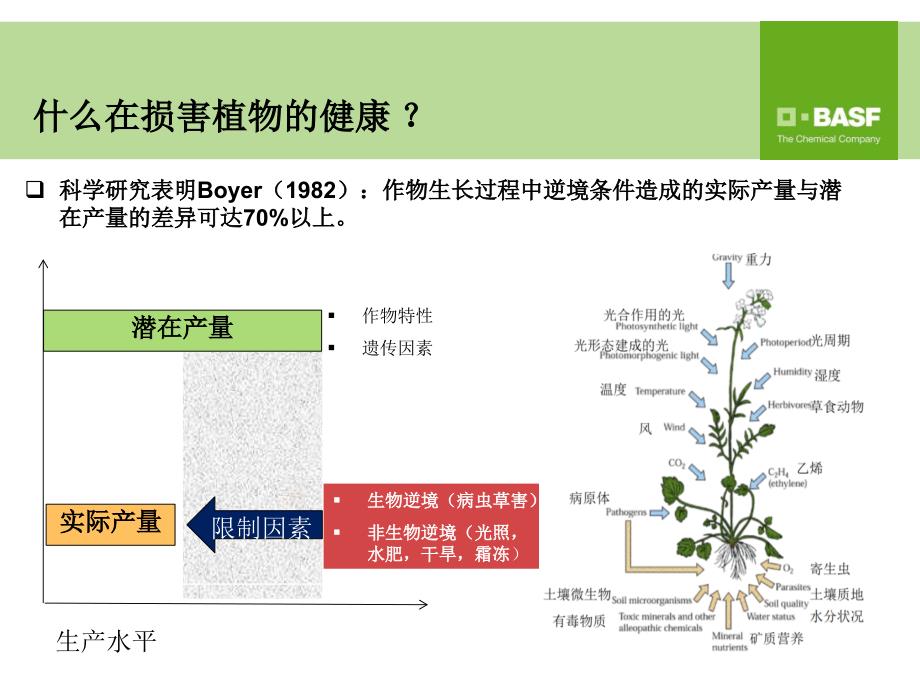 施乐健凯润玉米宣传片(mini)_第4页