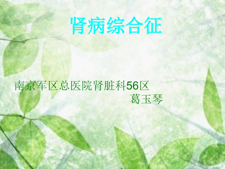 肾病综合征小讲课ppt课件.ppt_第1页