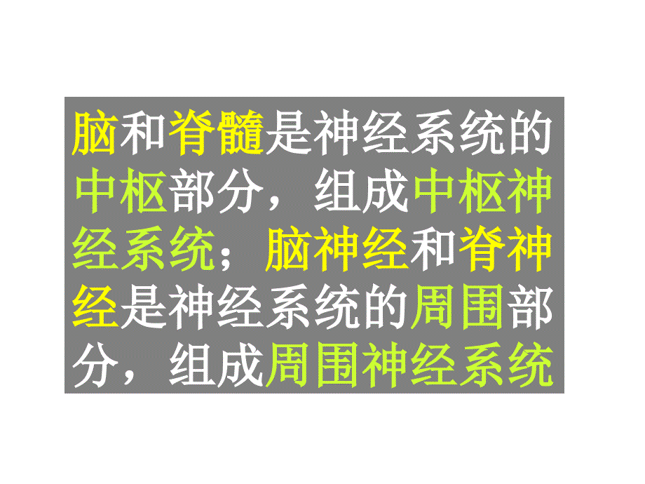 神经系统疾病概述PPT课件_第2页