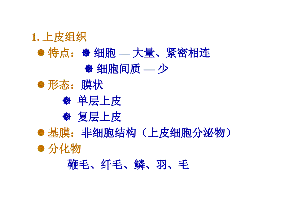 4.1动物的组织结构汇总_第2页