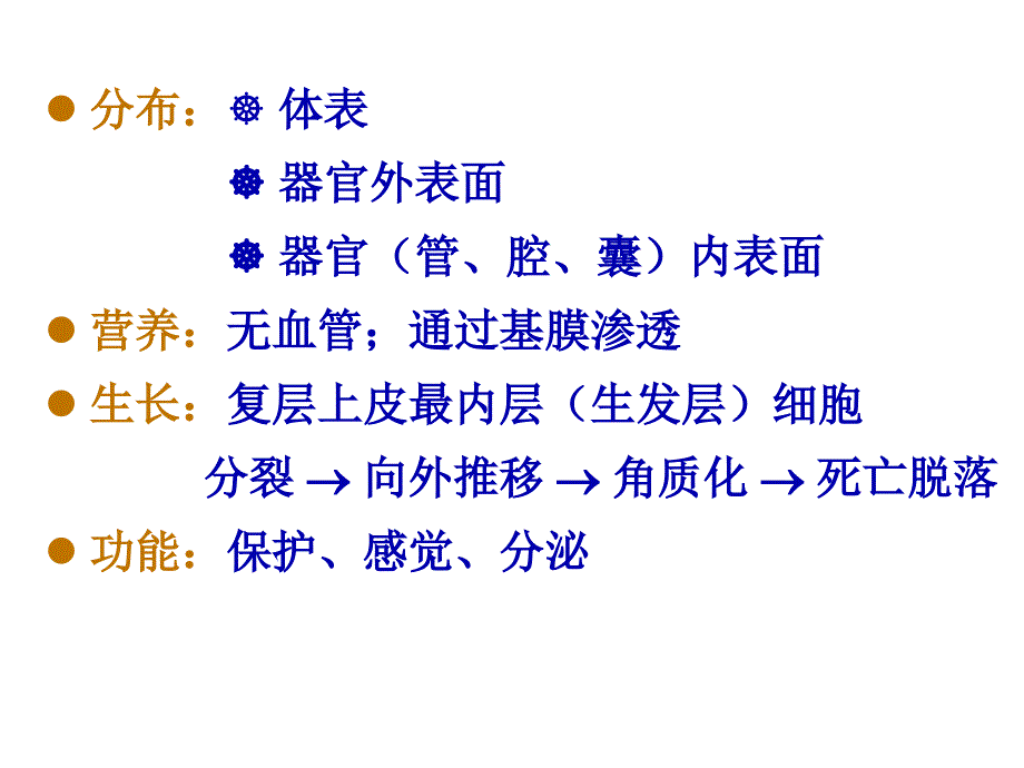 4.1动物的组织结构汇总_第3页