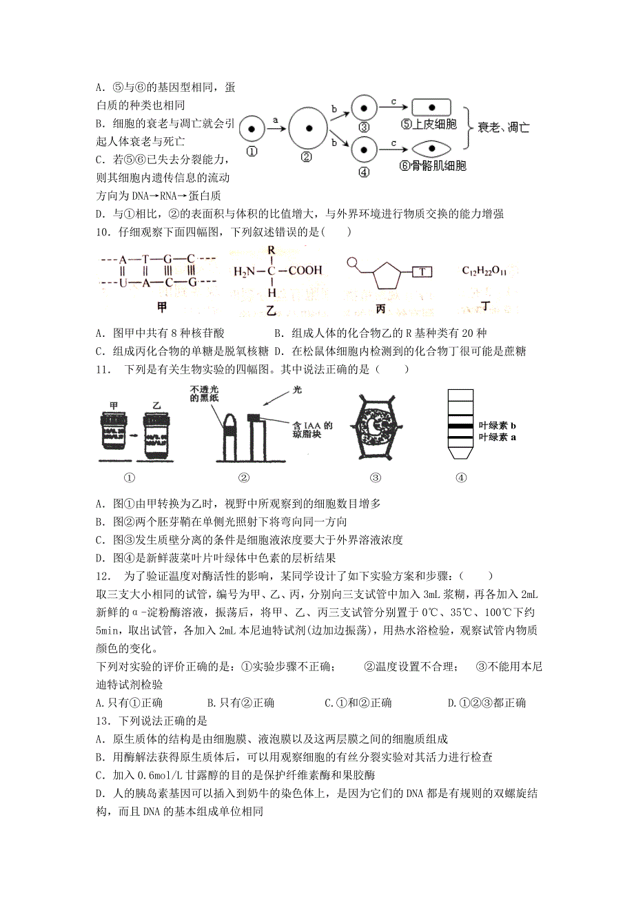 高三生物小题专练16_第2页