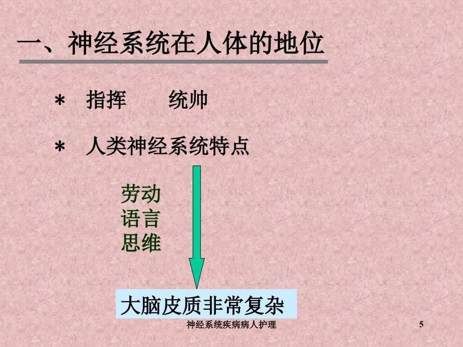 神经系统疾病病人护理课件_第5页