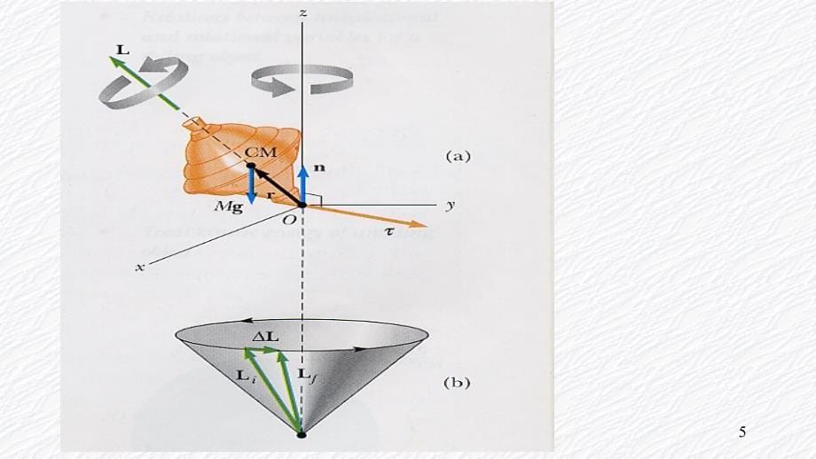 5.8B刚体的进动课堂PPT_第5页