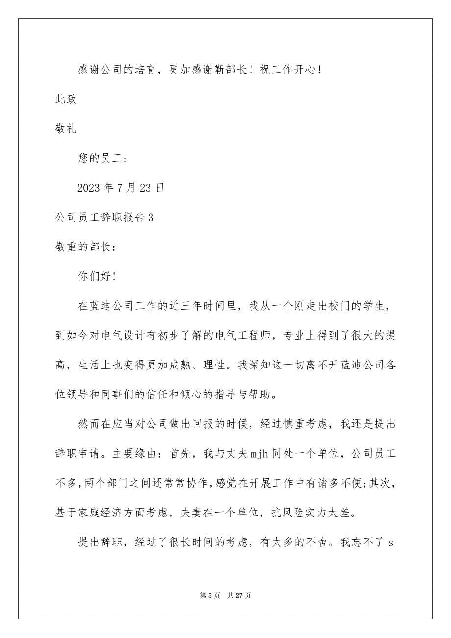 2023年公司员工辞职报告163.docx_第5页