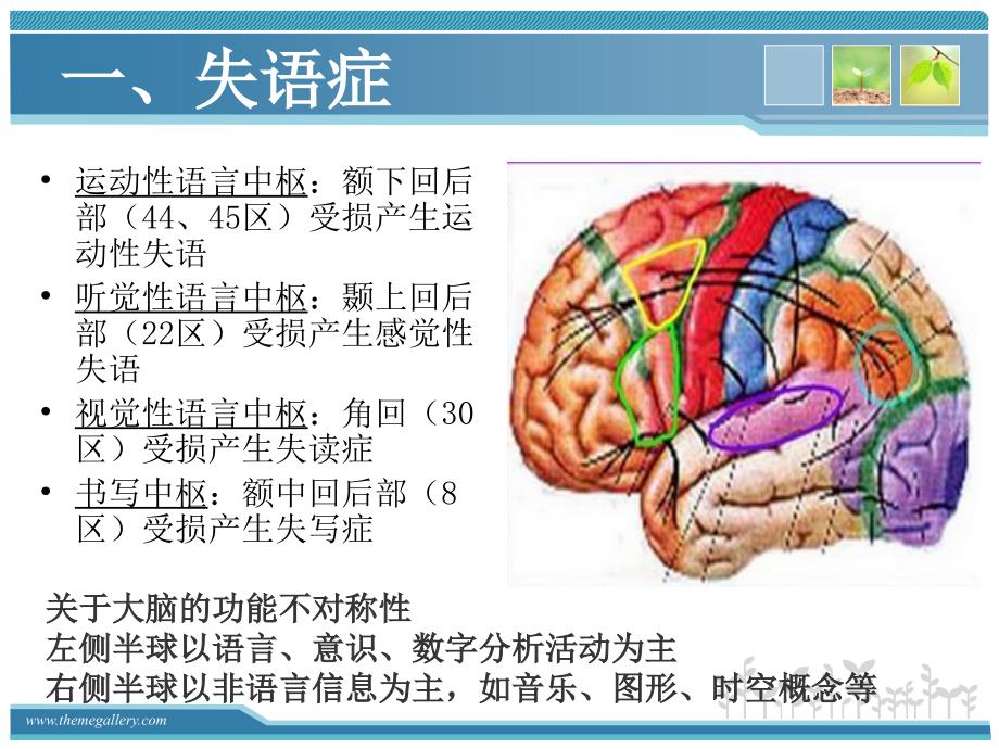 失语症失用症失认_第4页