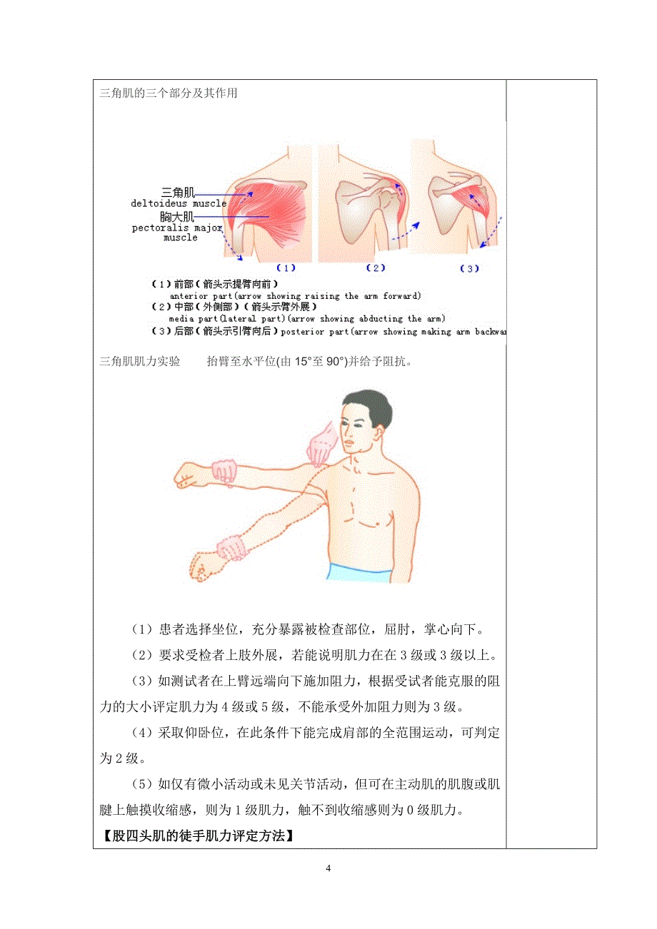 徒手肌力的评定_第4页