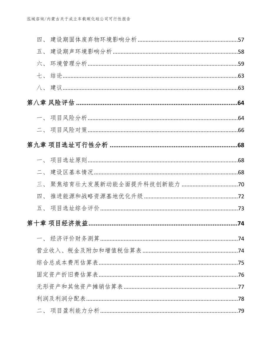 内蒙古关于成立车载碳化硅公司可行性报告_第5页