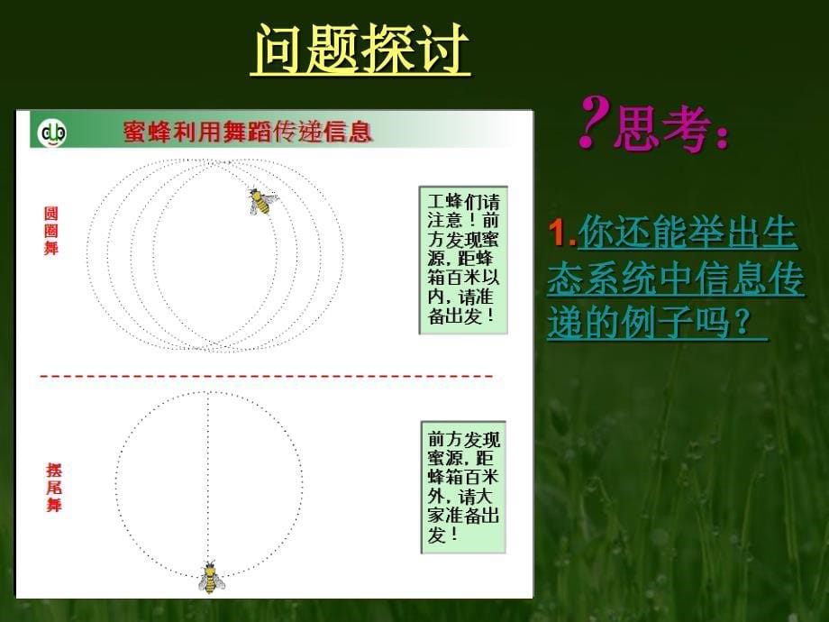 生态系统的信息传递_第5页