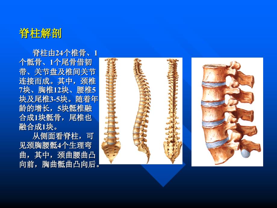 脊髓损伤的评定_第4页