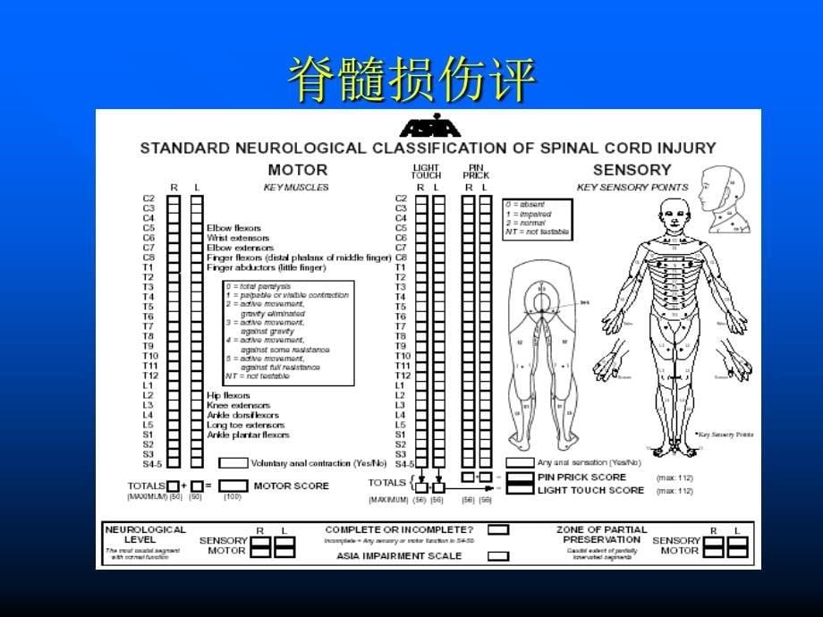 脊髓损伤的评定_第5页