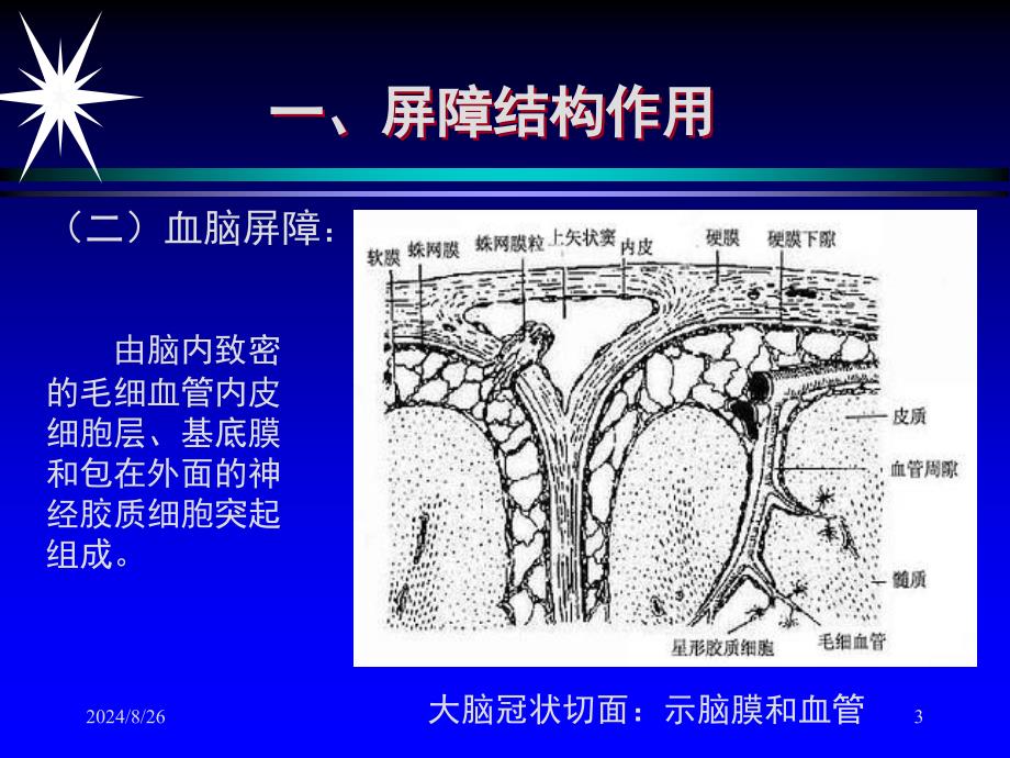 最新七章抗感染免疫PPT文档_第3页