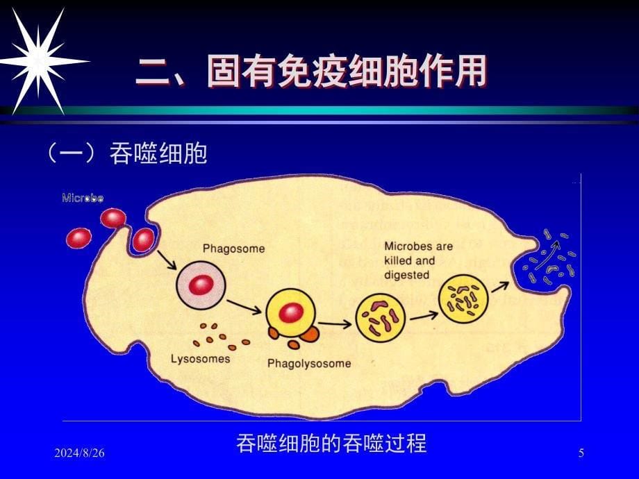 最新七章抗感染免疫PPT文档_第5页