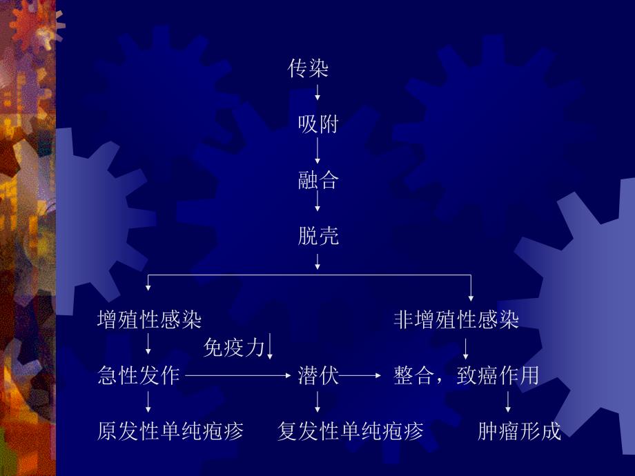 口腔黏膜感染性疱疹性1_第4页