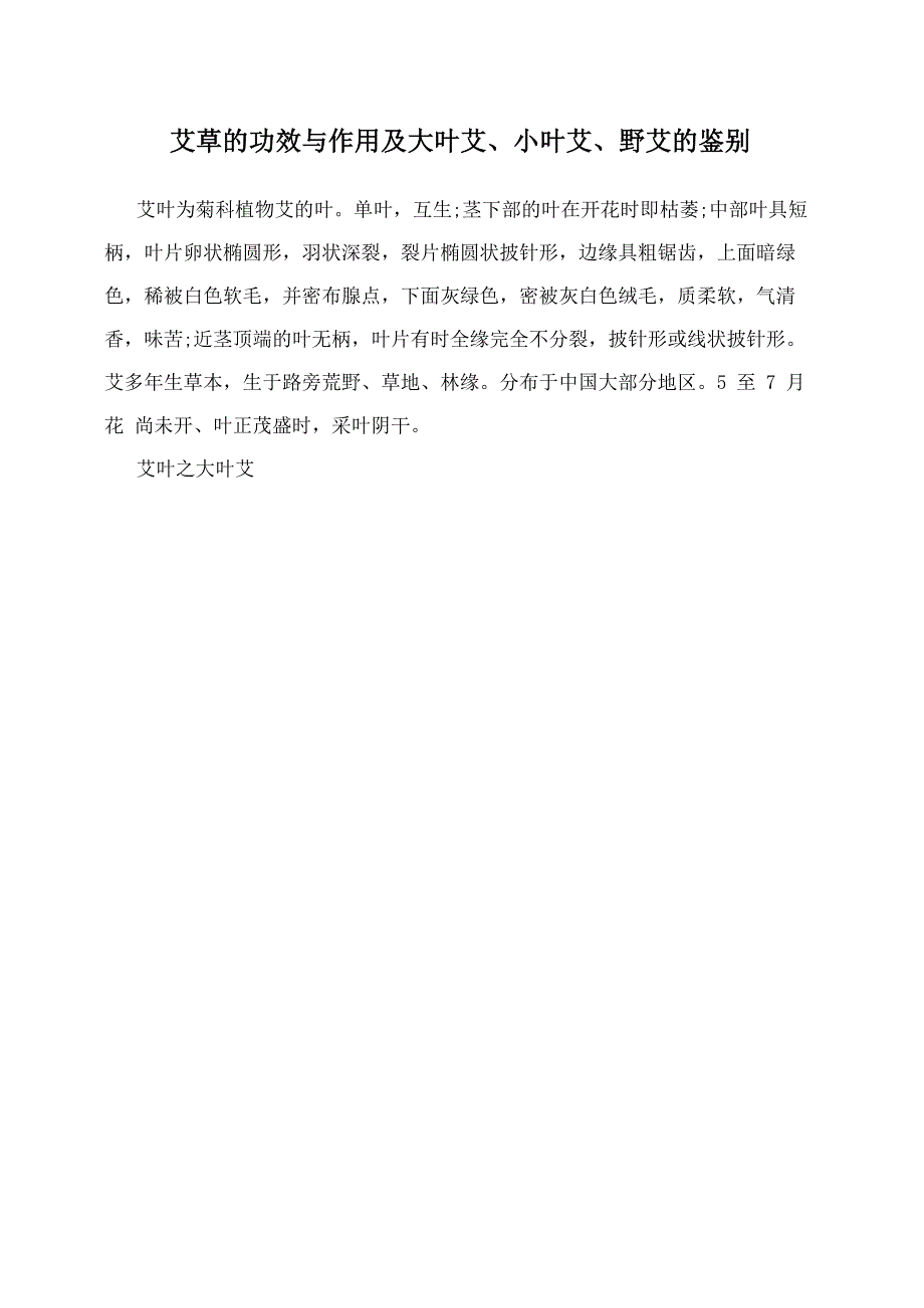 艾草的功效与作用及大叶艾、小叶艾、野艾的鉴别_第1页