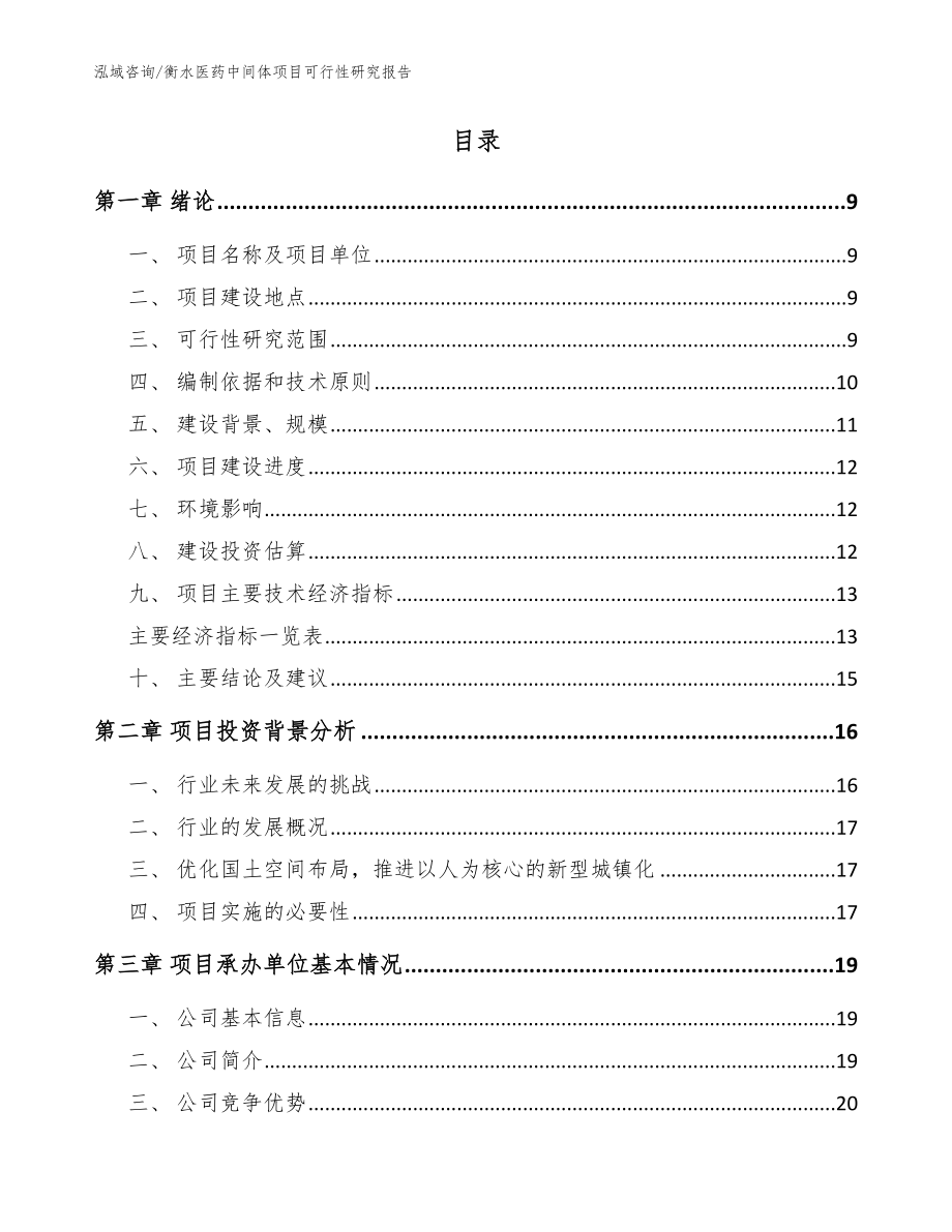 衡水医药中间体项目可行性研究报告_参考模板_第2页