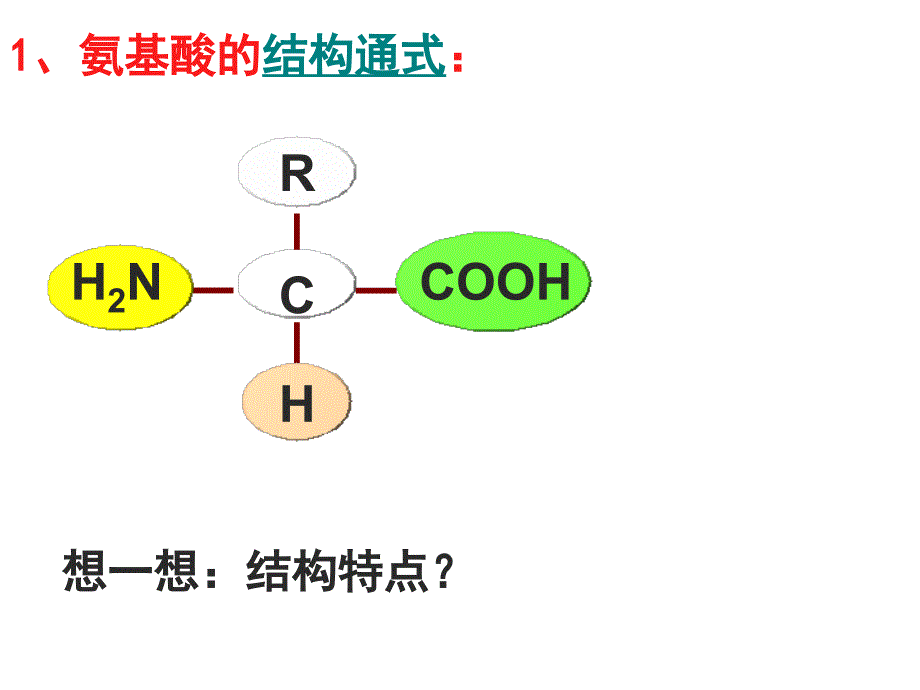 2.2生命活动的主要承担者—蛋白质课件陈秀锋_第4页