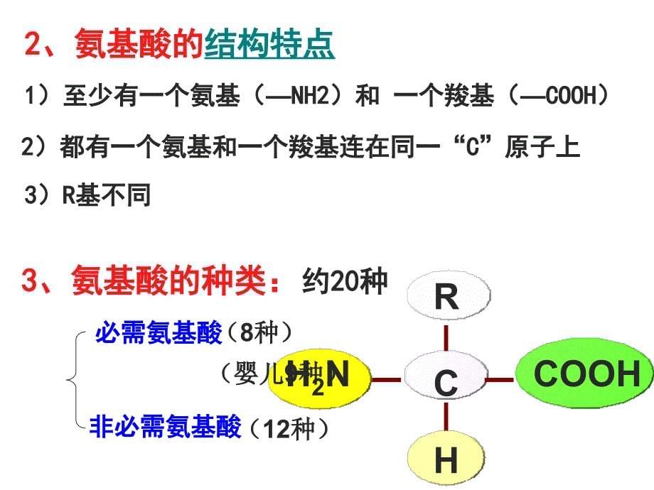 2.2生命活动的主要承担者—蛋白质课件陈秀锋_第5页